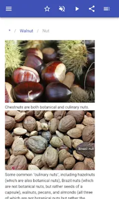 Nuts and seeds android App screenshot 12